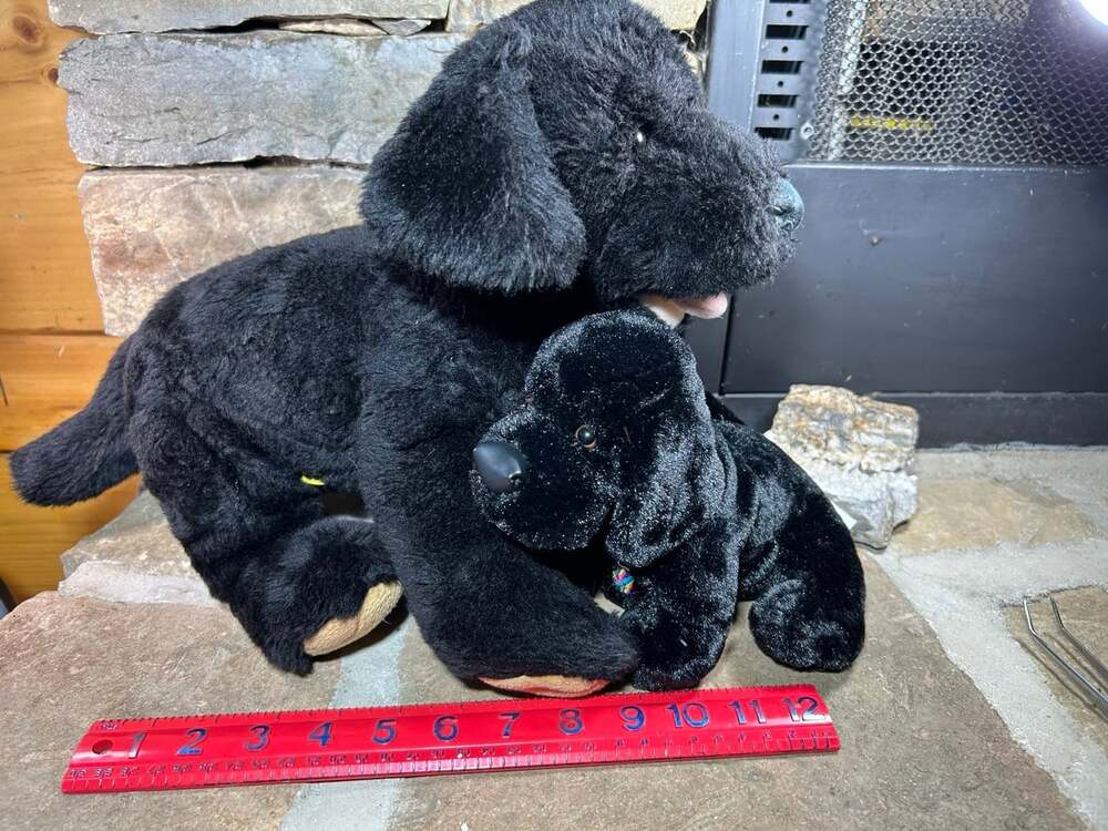Black Lab lot BAB and GANZ